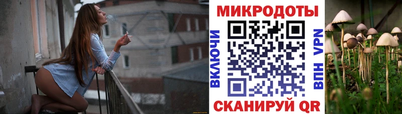 Псилоцибиновые грибы мицелий  закладка  Певек 